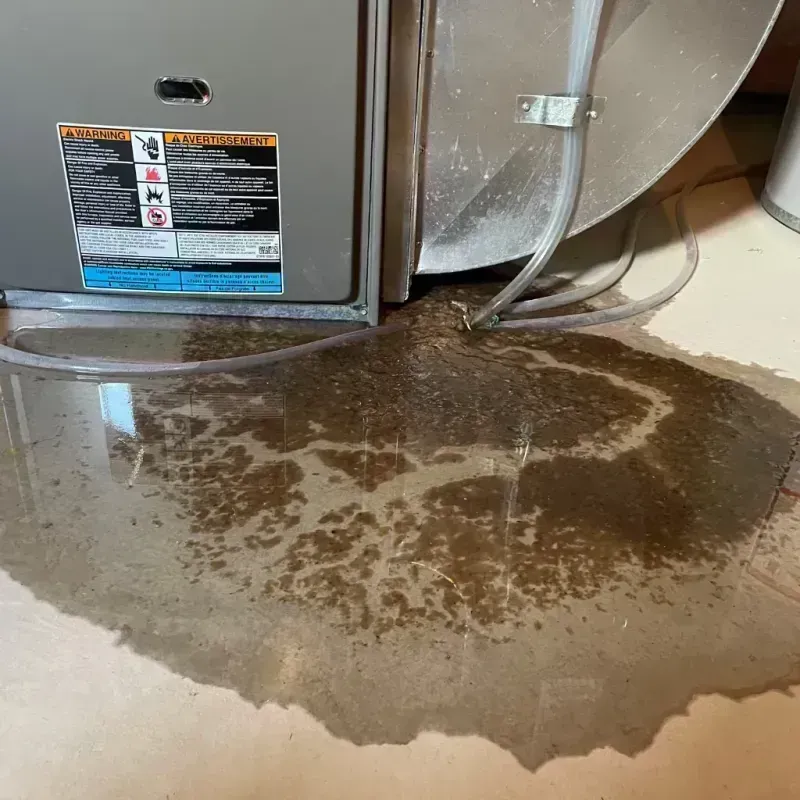 Appliance Leak Cleanup in Comanche County, TX